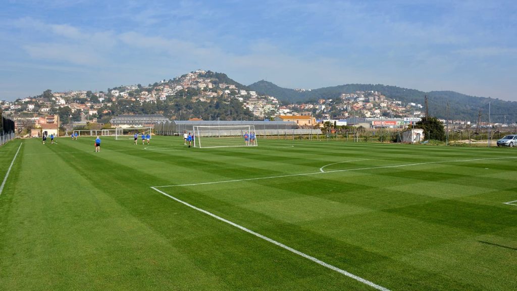 Barcelona Football Project - Natural Grass Pitch